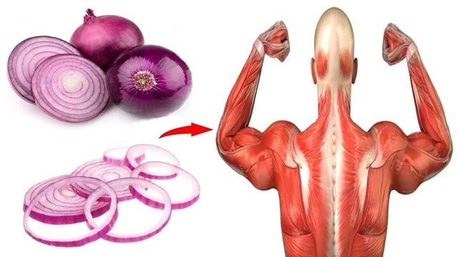 Nghiên Cứu Khoa Học về Mối Liên Hệ Giữa Hành Củ và Sinh Lý Nam