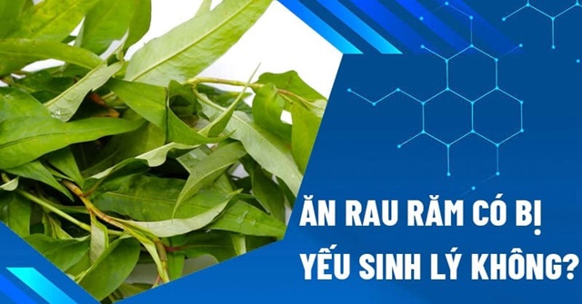 ăn rau răm có yếu sinh lý không