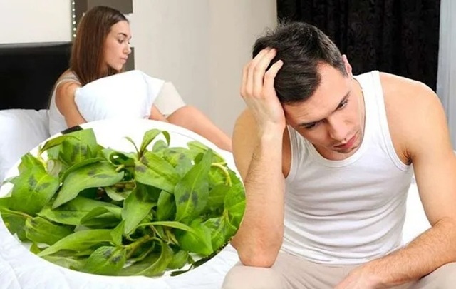 Rau Răm Ảnh Hưởng Đến Nữ Giới Như Thế Nào